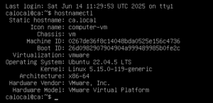 Screenshot showing the hostname of the CA VM as 'ca.local' on the Ubuntu server