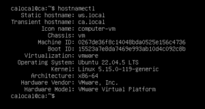 Clone of CA VM for Web Server (Alt text: Cloned Ubuntu server VM configured as ws.local for the web server.)
