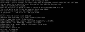 Screenshot of the OpenSSL commands to generate the RSA private key and self-signed certificate for the CA.
